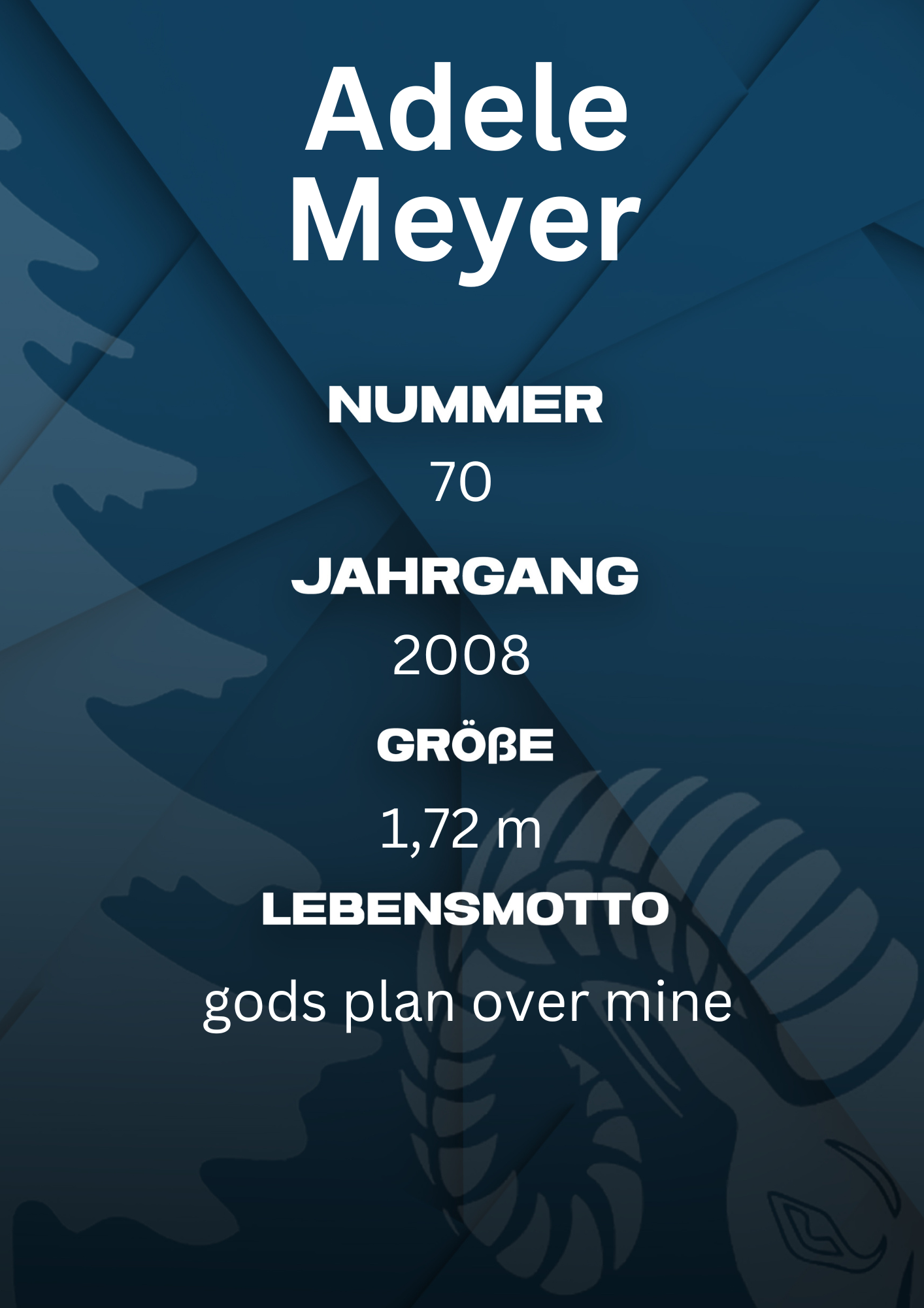 Bildbeschreibung Rückseite