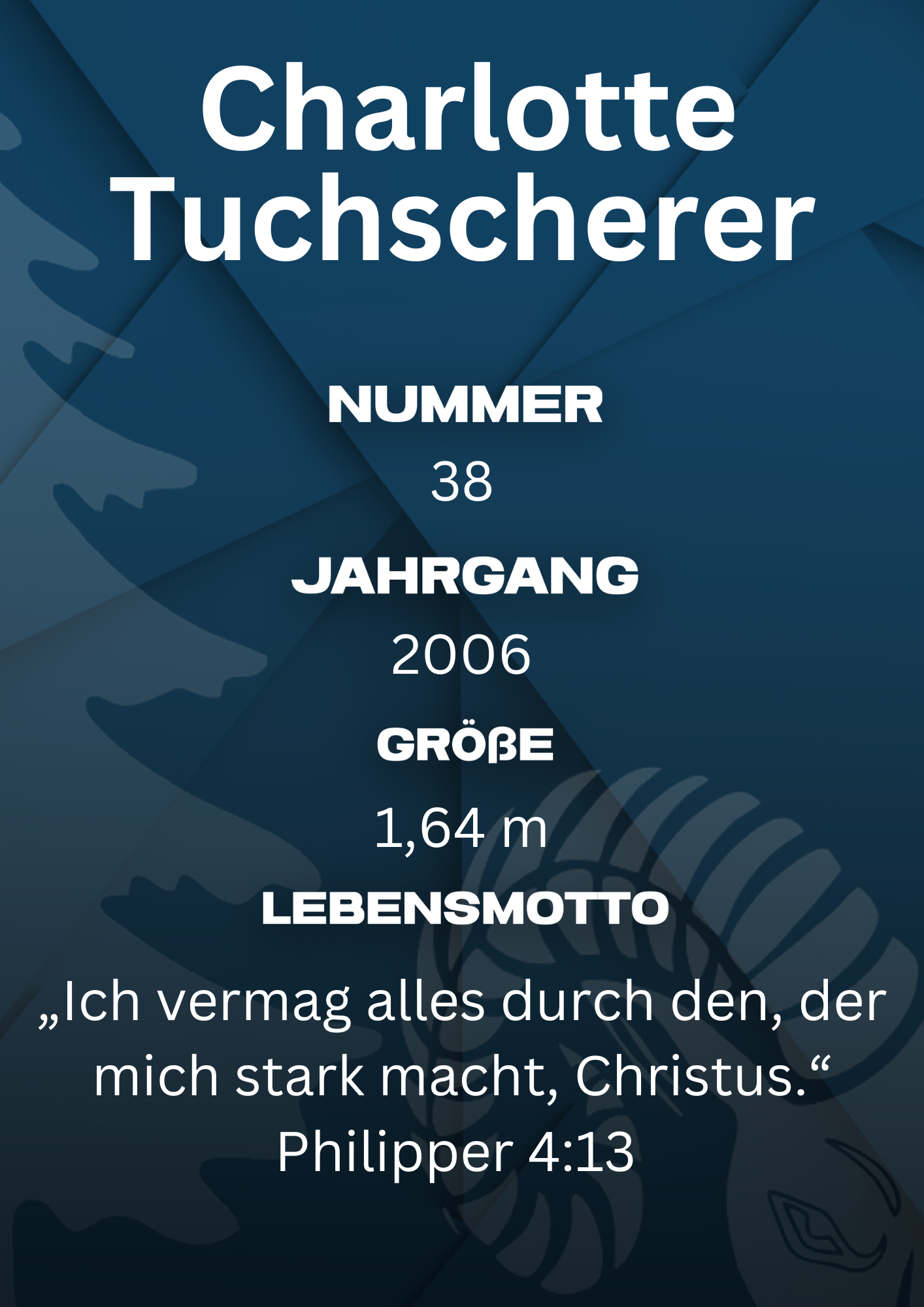 Bildbeschreibung Rückseite