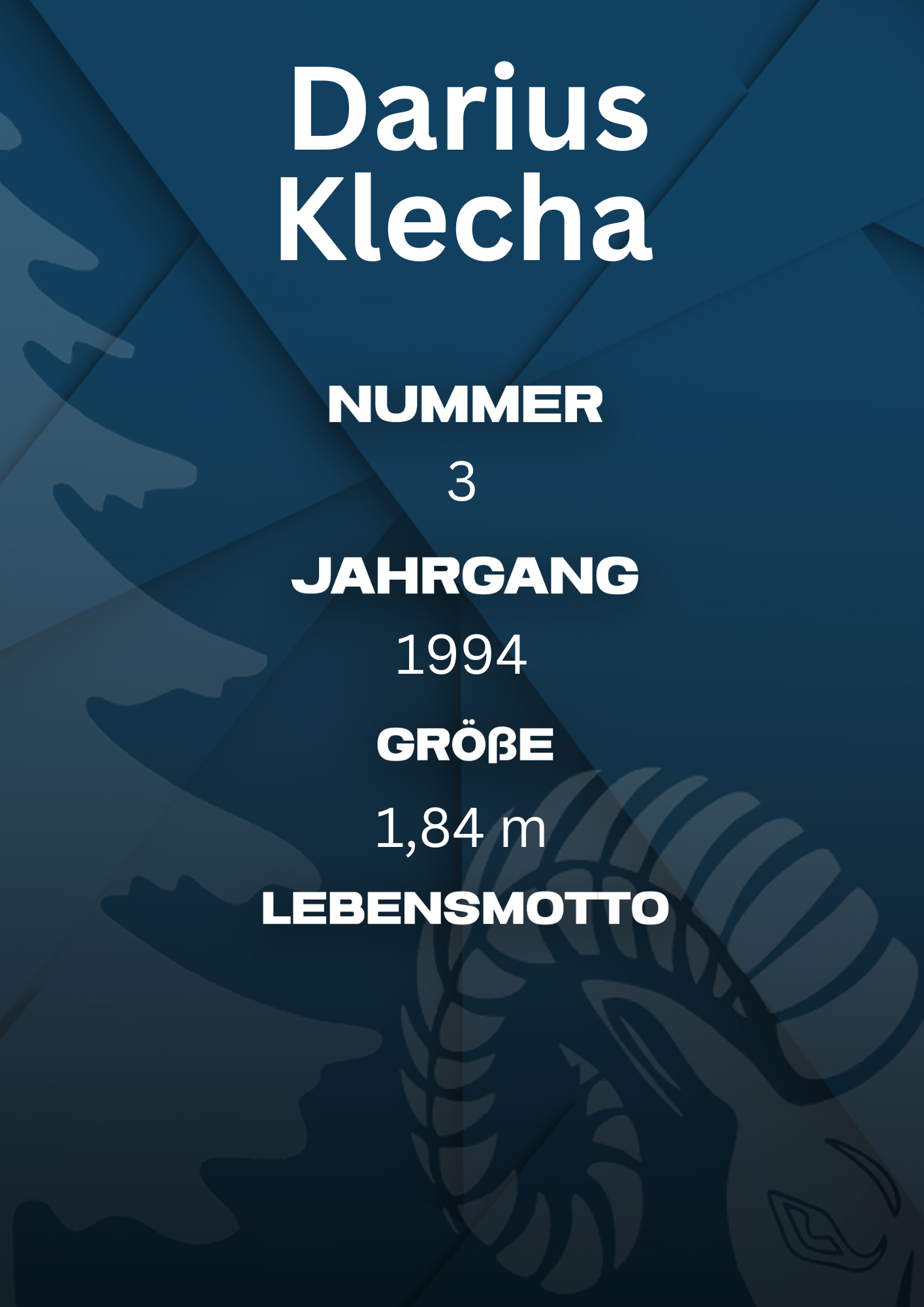 Bildbeschreibung Rückseite