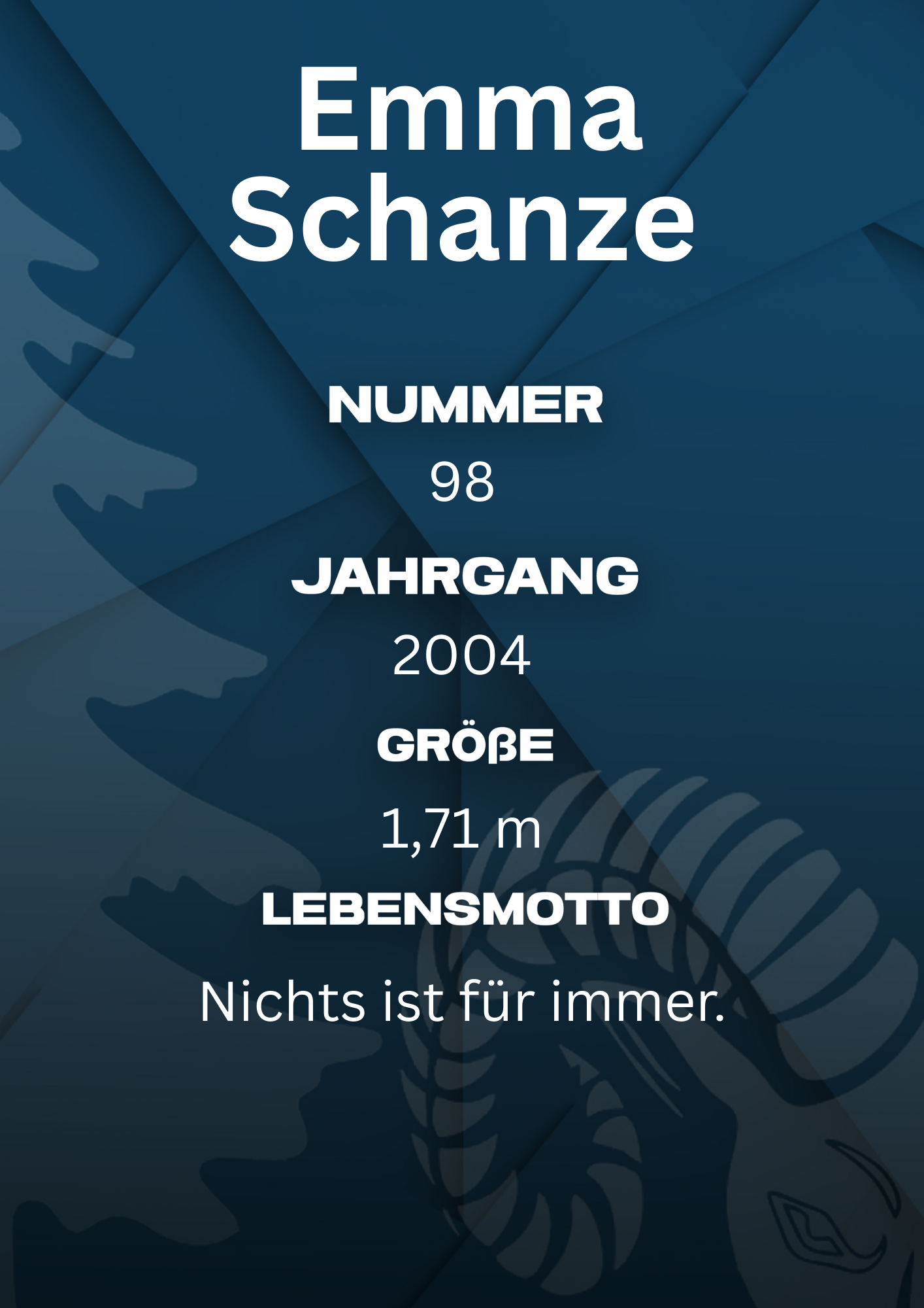 Bildbeschreibung Rückseite