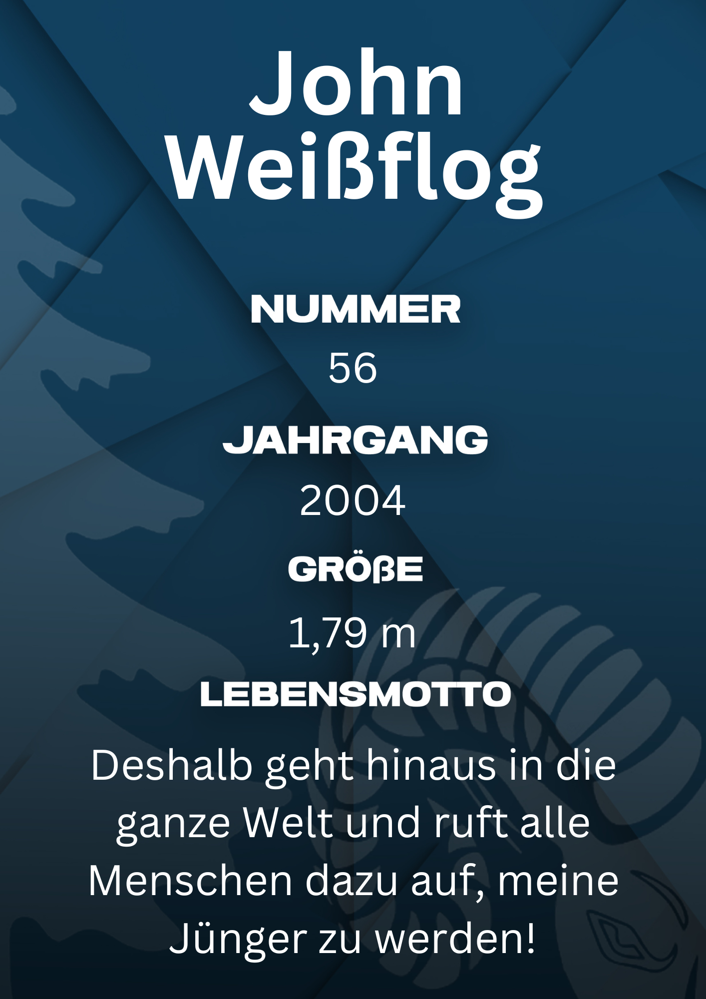 Bildbeschreibung Rückseite