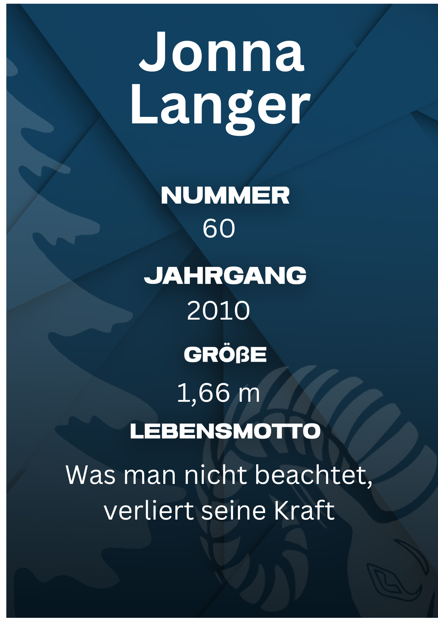 Bildbeschreibung Rückseite