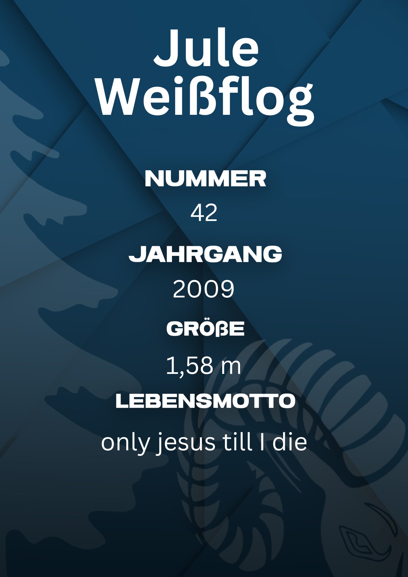 Bildbeschreibung Rückseite