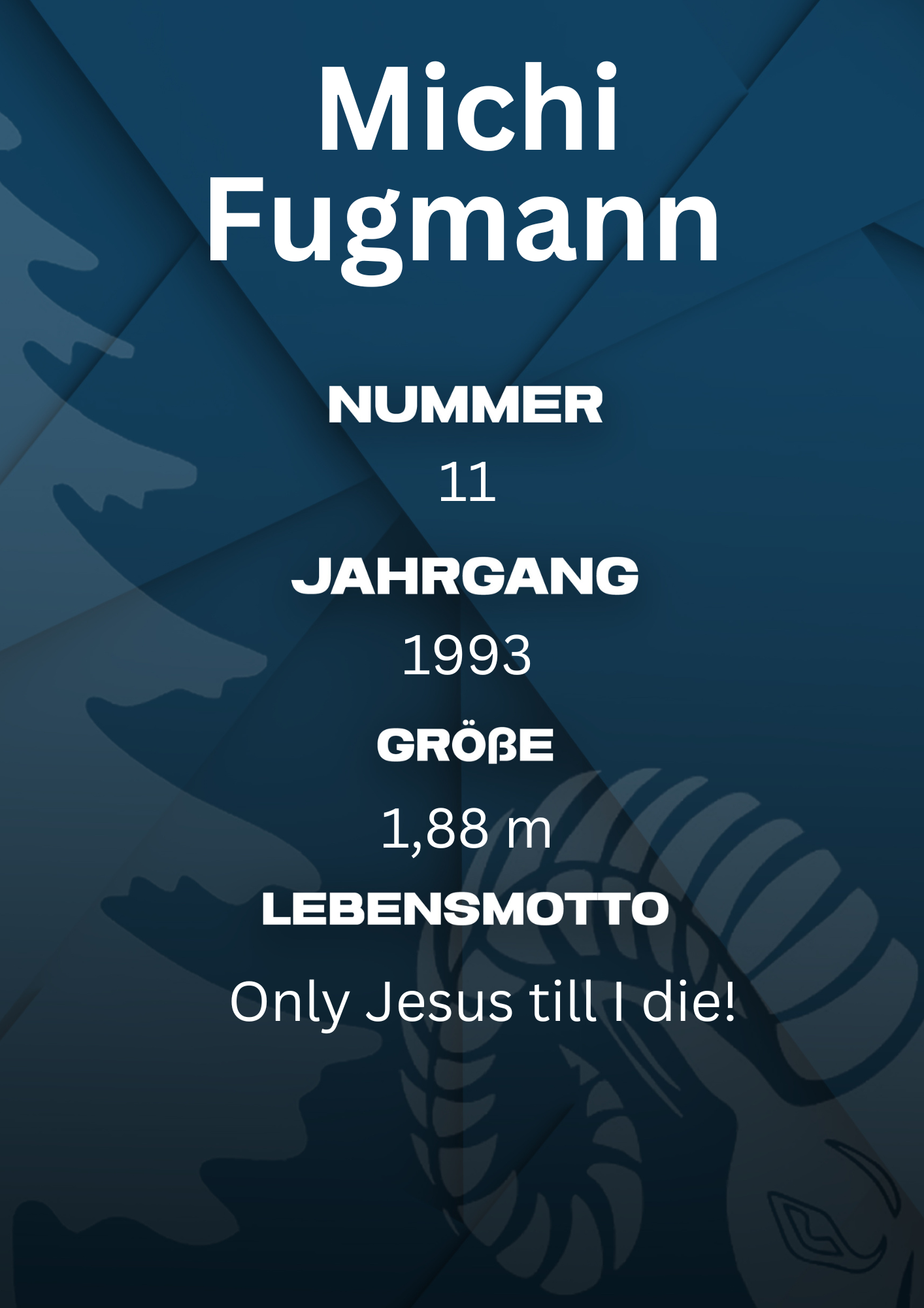 Bildbeschreibung Rückseite