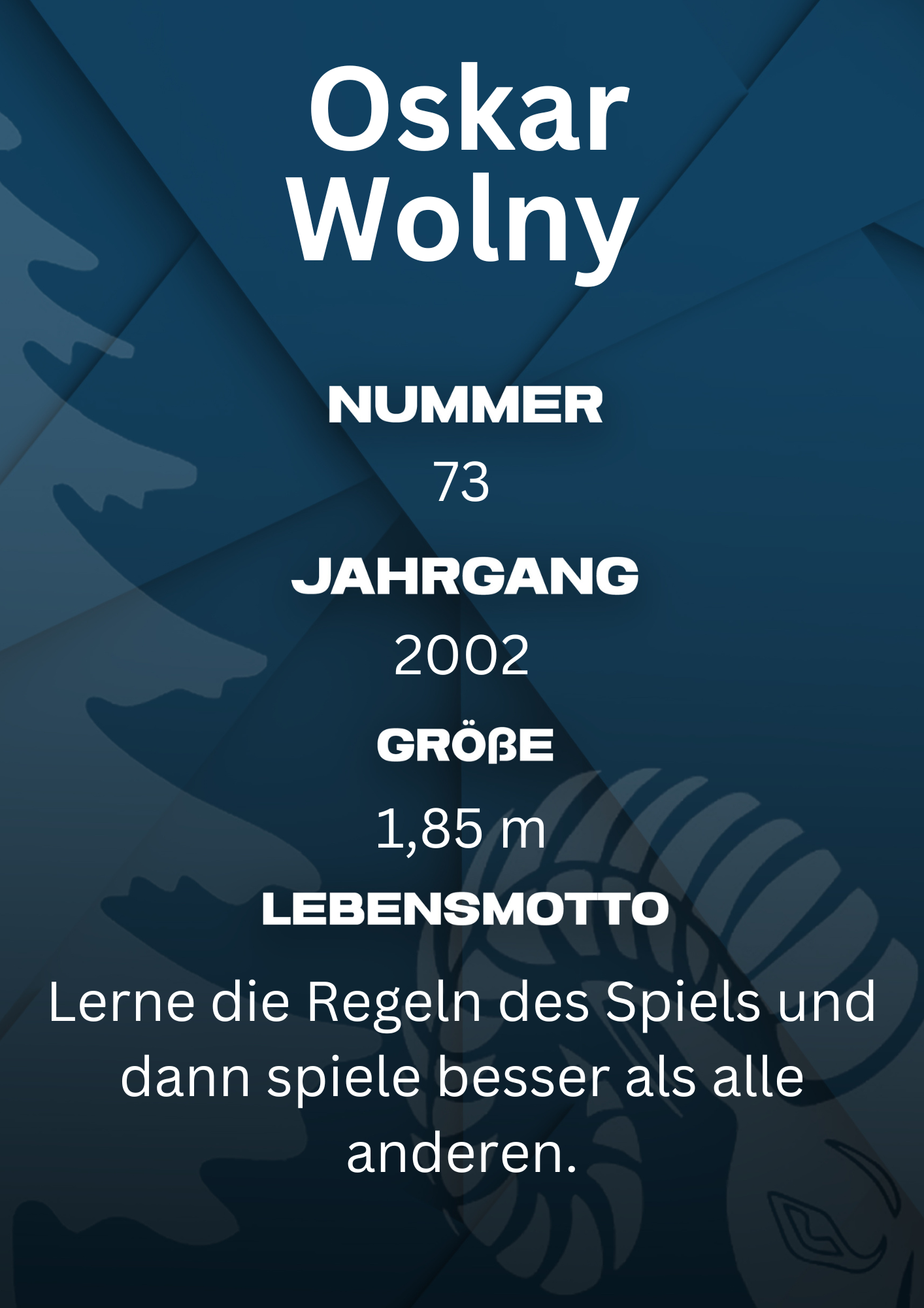 Bildbeschreibung Rückseite