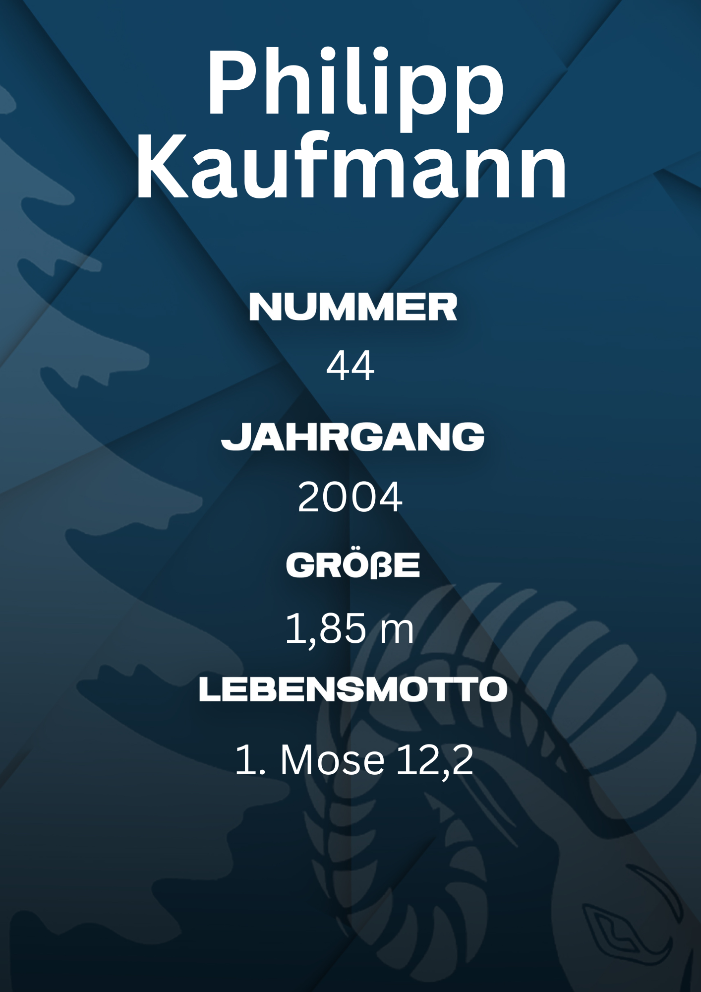 Bildbeschreibung Rückseite