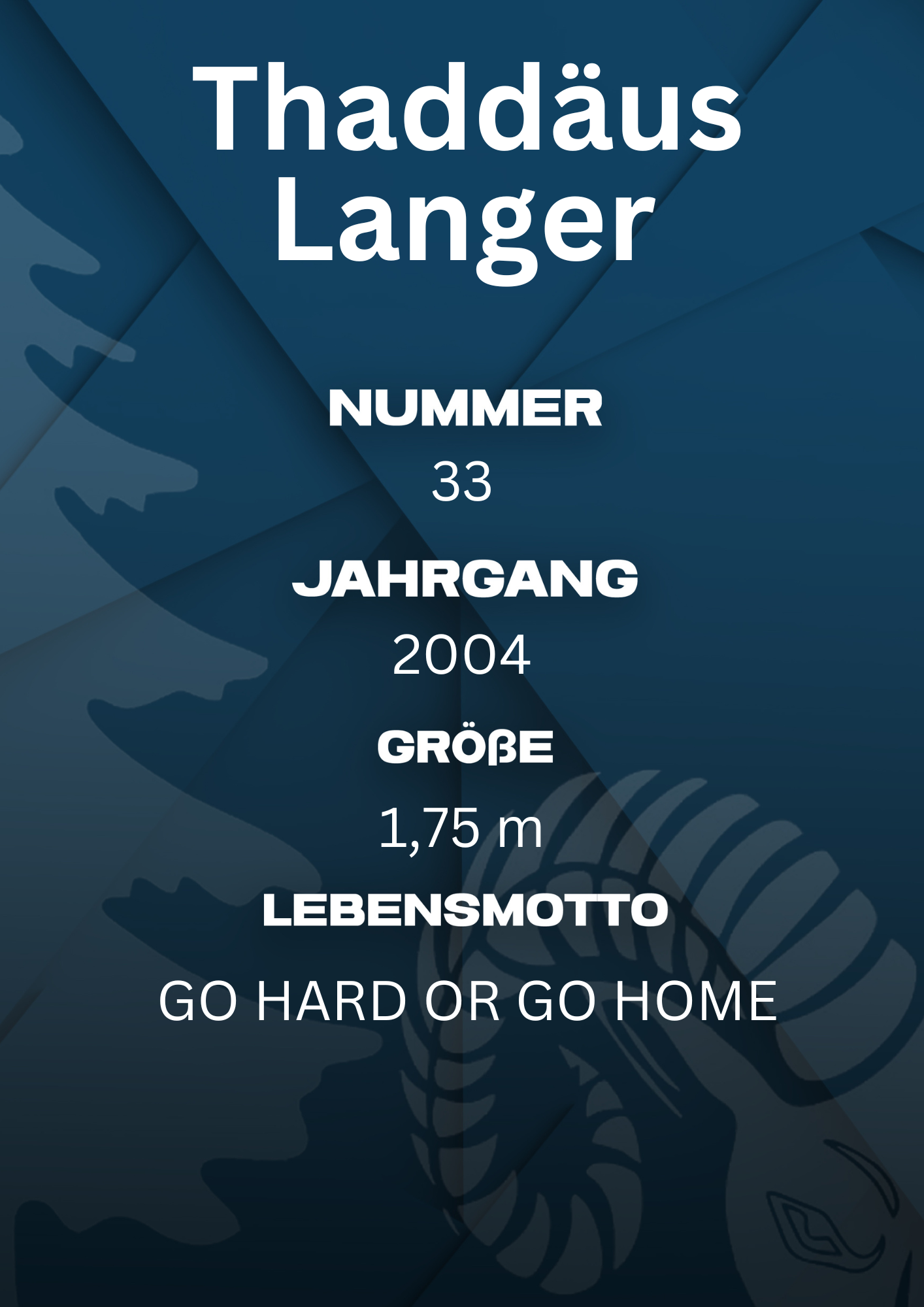 Bildbeschreibung Rückseite