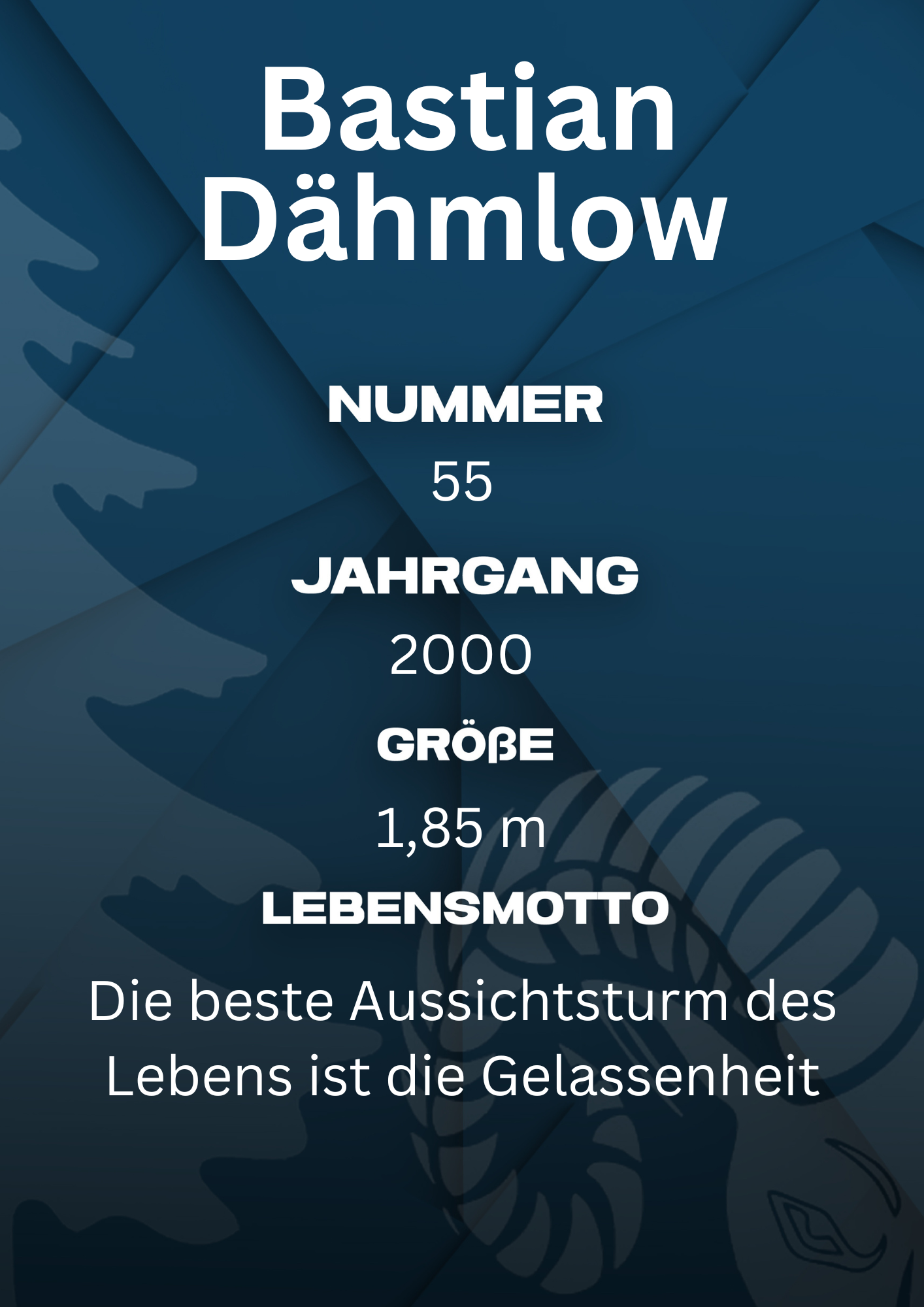 Bildbeschreibung Rückseite