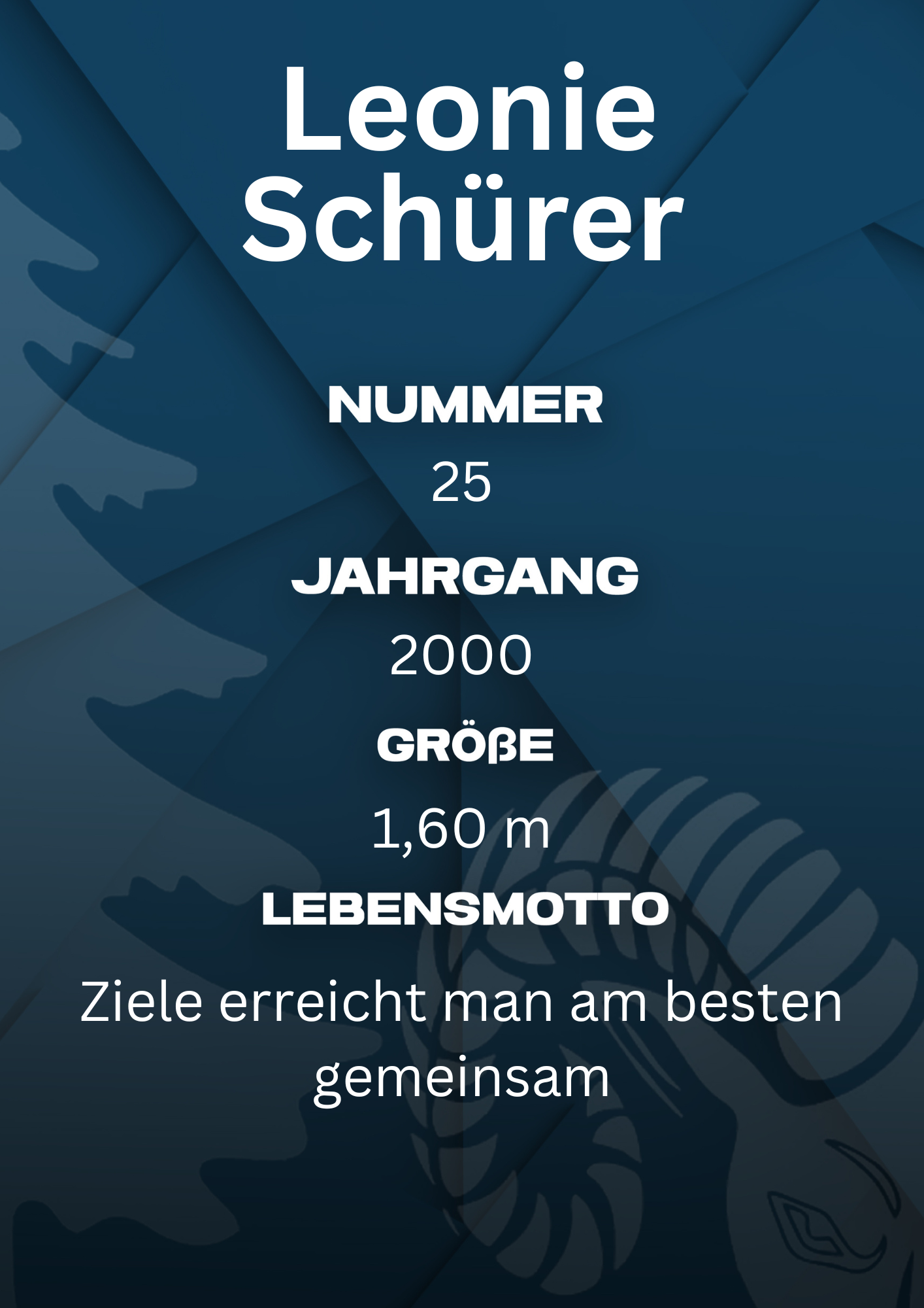 Bildbeschreibung Rückseite