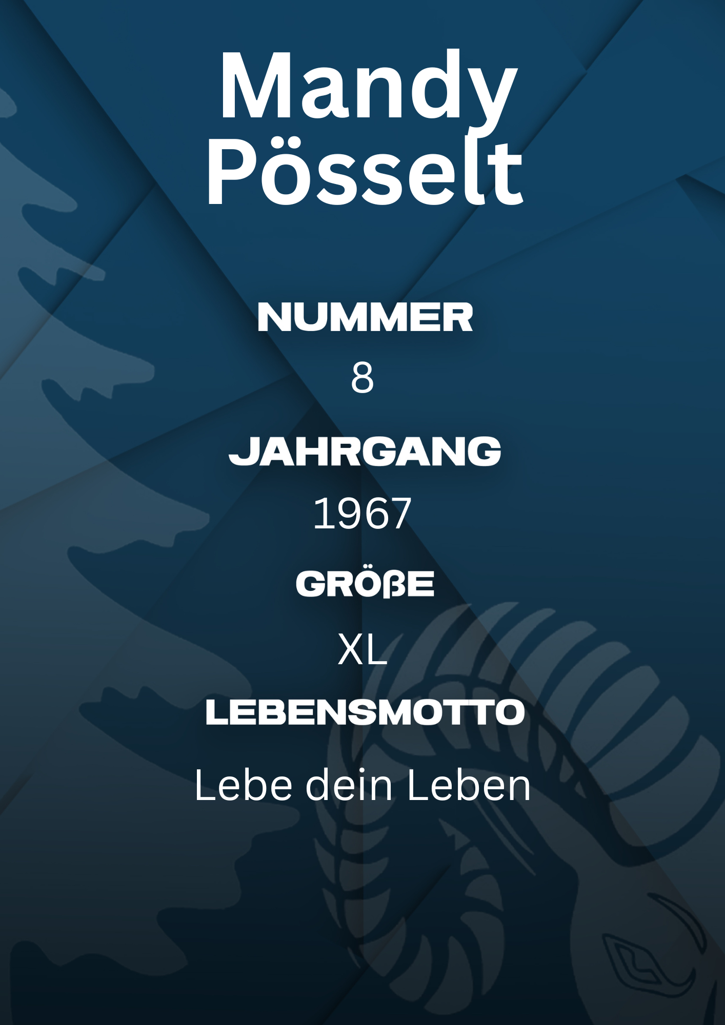 Bildbeschreibung Rückseite