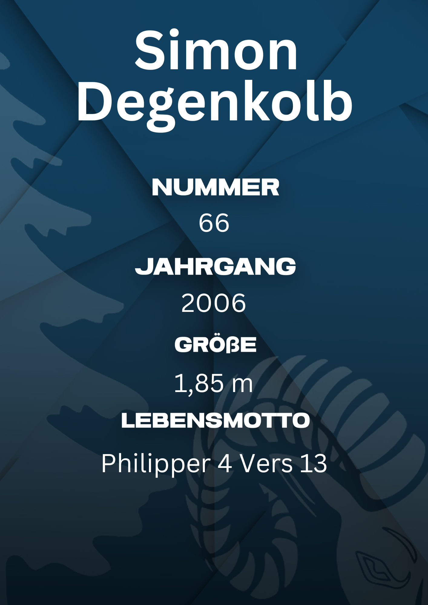 Bildbeschreibung Rückseite