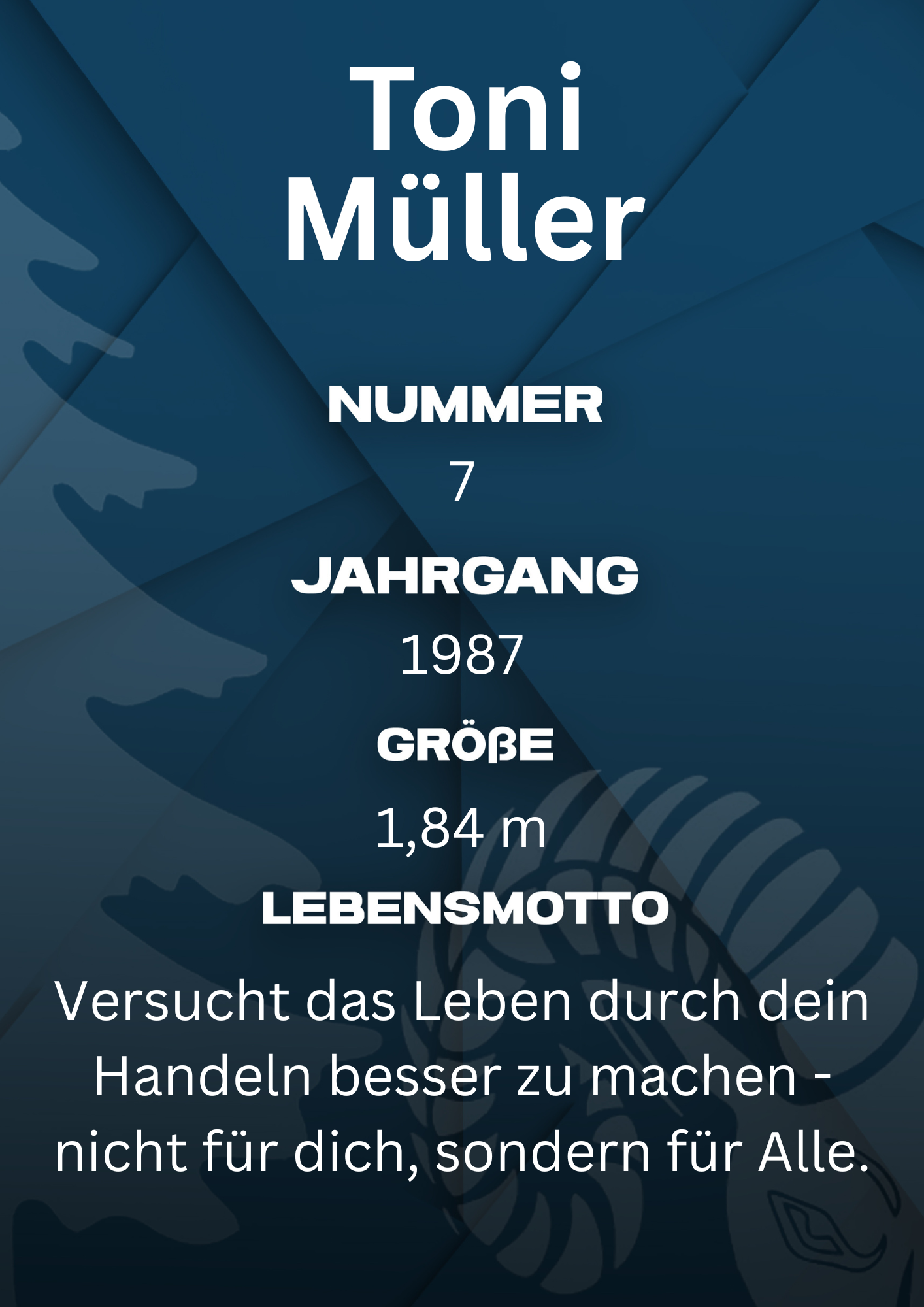 Bildbeschreibung Rückseite